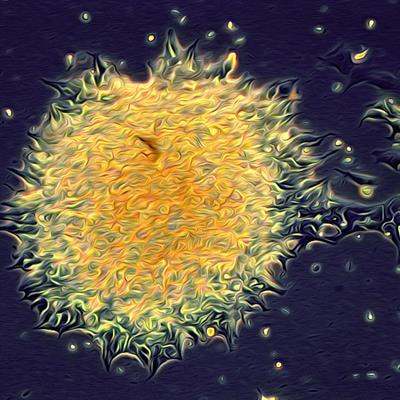 Cover image for research topic "Molecular Mechanisms Underlying Neurogenic Programs"