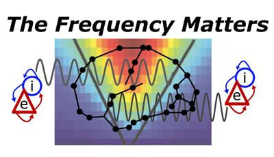 Cover image for research topic "Why the Exact Frequencies in our Brains Matter: Perspectives from Electrophysiology and Brain Stimulation"