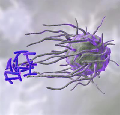 Cover image for research topic "Host-directed Therapies for Tuberculosis"