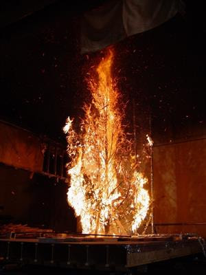 Cover image for research topic "Improved Understanding of Firebrand Processes During Large Scale Fire Disasters"