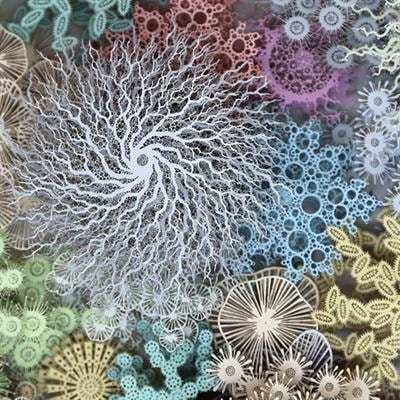 Cover image for research topic "Evolution of Animal Microbial Communities in Response to Environmental Stress"