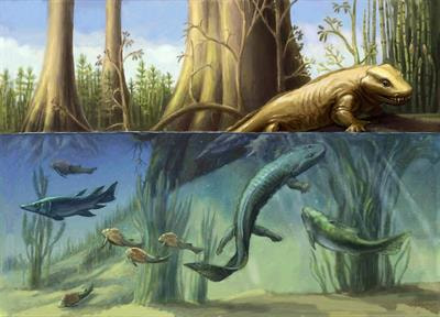 Cover image for research topic "Tetrapod Water-Land Transition: Reconstructing Soft Tissue Anatomy and Function"