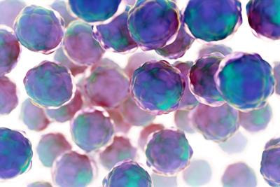 Cover image for research topic "Development of in vitro toxicology methods using organoid systems and toxicogenomic approaches"