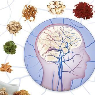 Cover image for research topic "Assessing the Pharmacological Effects and Therapeutic Potential of Traditional Chinese Medicine in Neurological Disease Models: An Update"