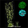 Cover image for research topic "Oxidative stress and programmed cell death in plants"
