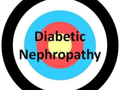 Cover image for research topic "Engaging Novel Cell Types, Protein Targets and Efficacy Biomarkers in the Treatment of Diabetic Nephropathy"