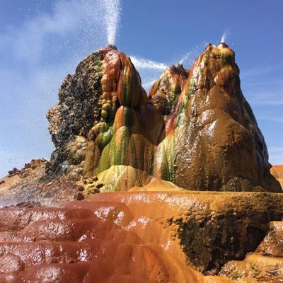 Cover image for research topic "Extremophiles: Microbial Genomics and Taxogenomics"