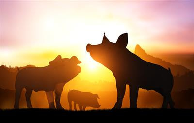 Cover image for research topic "Strategies for Mitigating the Environmental Impacts of Pig and Poultry Production"
