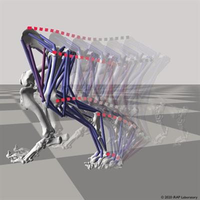 Cover image for research topic "Computational Modeling and Simulation of Quadrupedal Animal Movement"