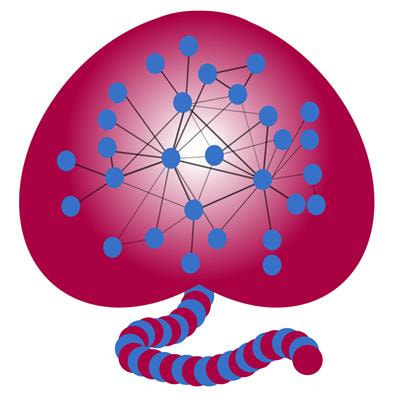 Cover image for research topic "Multi-Omics Approaches to Study Placental Development and Disease"
