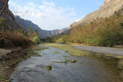 Cover image for research topic "Freshwater Ecosystems in Arid and Semiarid Zones Facing Multiple Stressors: Human Disturbances, Climate Change, and Dryland River Conservation"