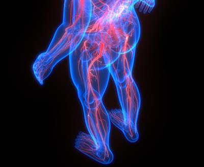Cover image for research topic "Neuroarthrology: Exploring Anatomy, Molecular Biology and the Nervous System in Osteoarthritis"