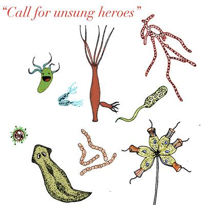Cover image for research topic "Unconventional Model Systems in Genomic and Biological Research"