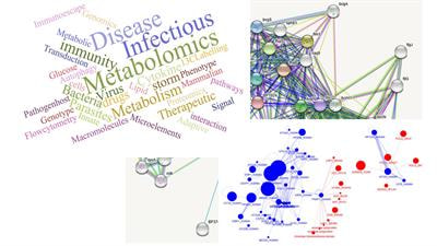 Cover image for research topic "Metabolomics in Infectious Diseases"