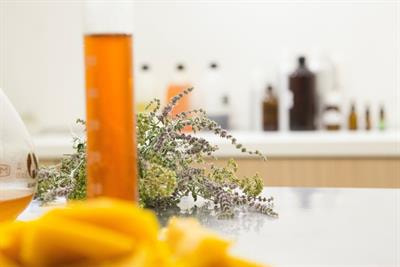 Cover image for research topic "The Use of Plant Extracts and Essential Oils as Biopesticides"