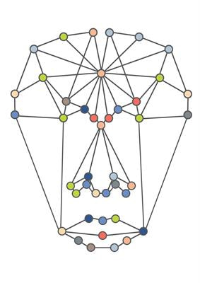 Cover image for research topic "The Functional Connectome of Chemosensory Perception"