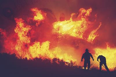 Cover image for research topic "Wildfire Management and Decision Support"