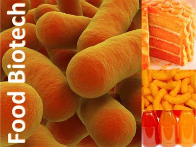 Cover image for research topic "Recent Advances in Microbial Biotechnology for the Food Industry "