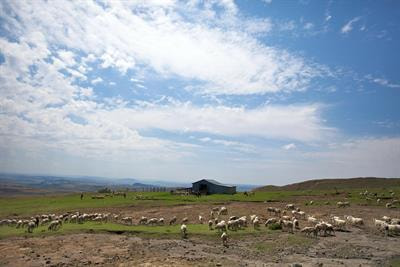 Cover image for research topic "Soil Fertility Management for Sustainable Food Production in Sub-Saharan Africa"