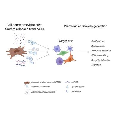Cover image for research topic "MSC-derived Extracellular Vesicles and Secreted Factors as ‘Cell-Free' Therapeutic Alternatives in Regenerative Medicine"