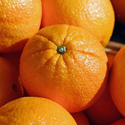 Cover image for research topic "Metabolism of Fruit Volatile Organic Compounds"