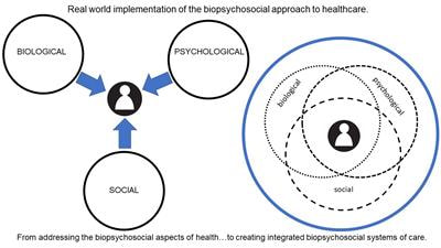 Cover image for research topic "Real-World Implementation of the Biopsychosocial Approach to Healthcare: Pragmatic Approaches, Success Stories and Lessons Learned"