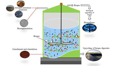 Cover image for research topic "Biological Strategies to Enhance the Anaerobic Digestion Performance: Fundamentals and Process Development "