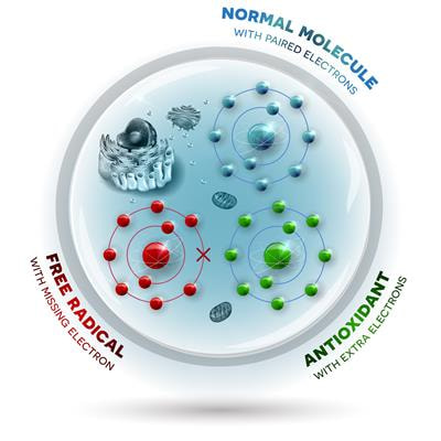 Cover image for research topic "Antioxidants in Autism Spectrum Disorders"
