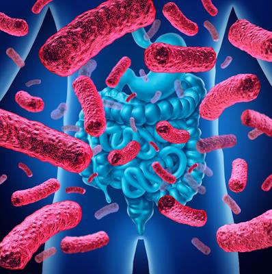 Cover image for research topic "Remodeling Composition and Function of Microbiome by Dietary Strategies - Functional Foods Perspective"