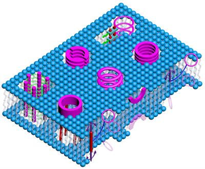 Cover image for research topic "Artificial Membrane Transporters"