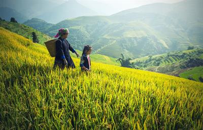 Cover image for research topic "Women's Communal Land Rights"