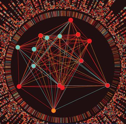 Cover image for research topic "Computational and Integrative Approaches for Developmental Biology and Molecular Evolution"
