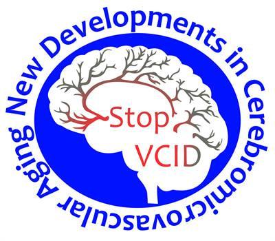 Cover image for research topic "New Developments in Understanding Brain and Cerebromicrovascular Aging: Toward Prevention of Vascular Cognitive Impairment and Alzheimer's Disease"