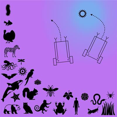 Cover image for research topic "Physics of Social Interactions"