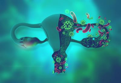 Cover image for research topic "Infections of the Female Reproductive System and their Implications on Women’s Health"