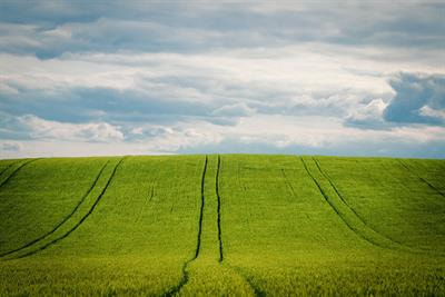 Cover image for research topic "Climate-Smart Agriculture: Productivity, Efficiency and Sustainability"