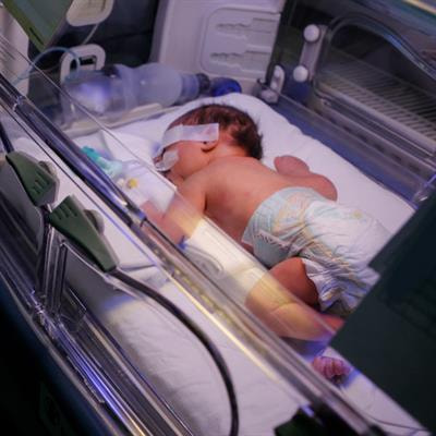 Cover image for research topic "Environmental, Clinical, and Biological Determinants of Preterm Birth and
their Effects on the Offspring"