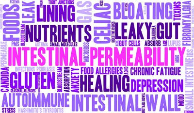 Cover image for research topic "Human Intestinal Permeability, Mucosal Inflammation and Diet"