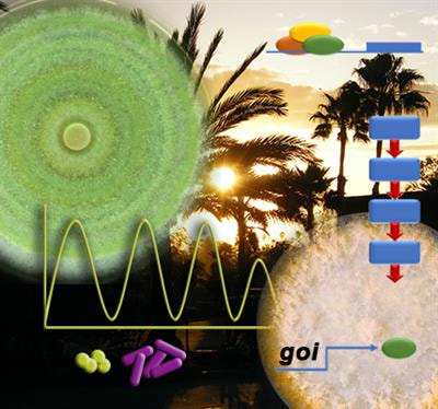 Cover image for research topic "Light Regulation of Metabolic Networks in Microbes"