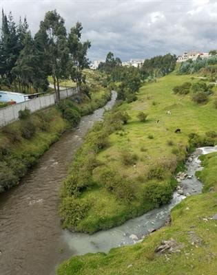 Cover image for research topic "Antimicrobial Resistance in Aquatic Environments"