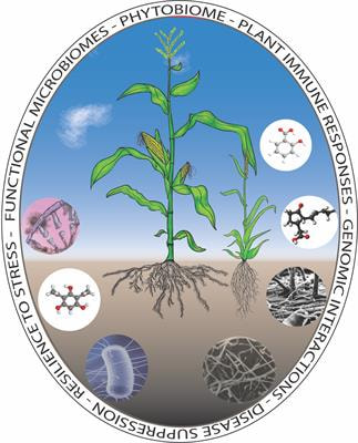 Cover image for research topic "Functional Analysis of Plant-Microbe Interactions in Plant Disease Suppression and Health using Multi-Omics Techniques"