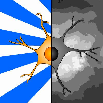 Cover image for research topic "Dual role of microglia in health and disease: pushing the balance towards repair"