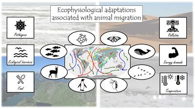 Cover image for research topic "Ecophysiological Adaptations Associated with Animal Migration"