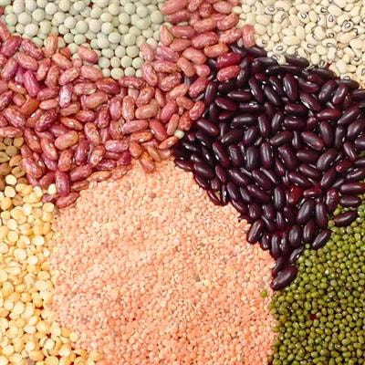 Cover image for research topic "Accelerating Genetic Gains in Pulses"
