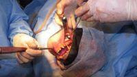 Cover image for research topic "Veterinary Dentistry and Oromaxillofacial Surgery in Wild and Exotic Animals"
