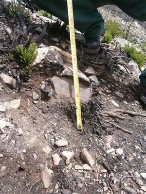 Cover image for research topic "Surface Processes and Morphodynamics Related to Climate and Human Impacts"
