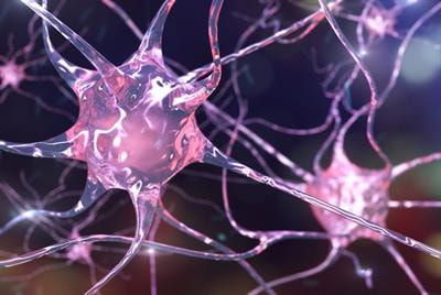 Cover image for research topic "New Advances in Epilepsy and Headache"