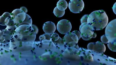 Cover image for research topic "Understanding the RNA Species in the Extracellular Vesicles of Multiple Myeloma"