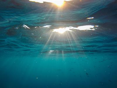 Cover image for research topic "Past Reconstruction of the Physical and Biogeochemical Ocean State"