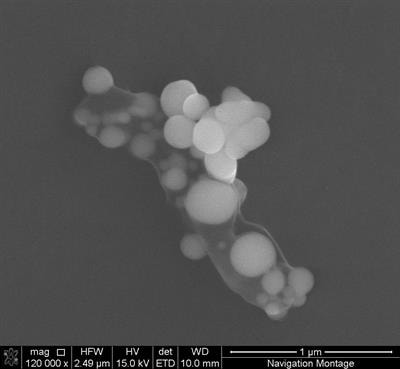 Cover image for research topic "Microbial Biominerals: Towards New Functions and Resource Recovery"